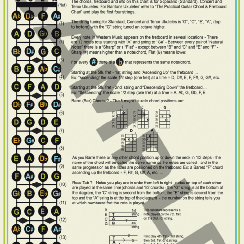Ukulele Fret Board, Tuning & General Info Posters
