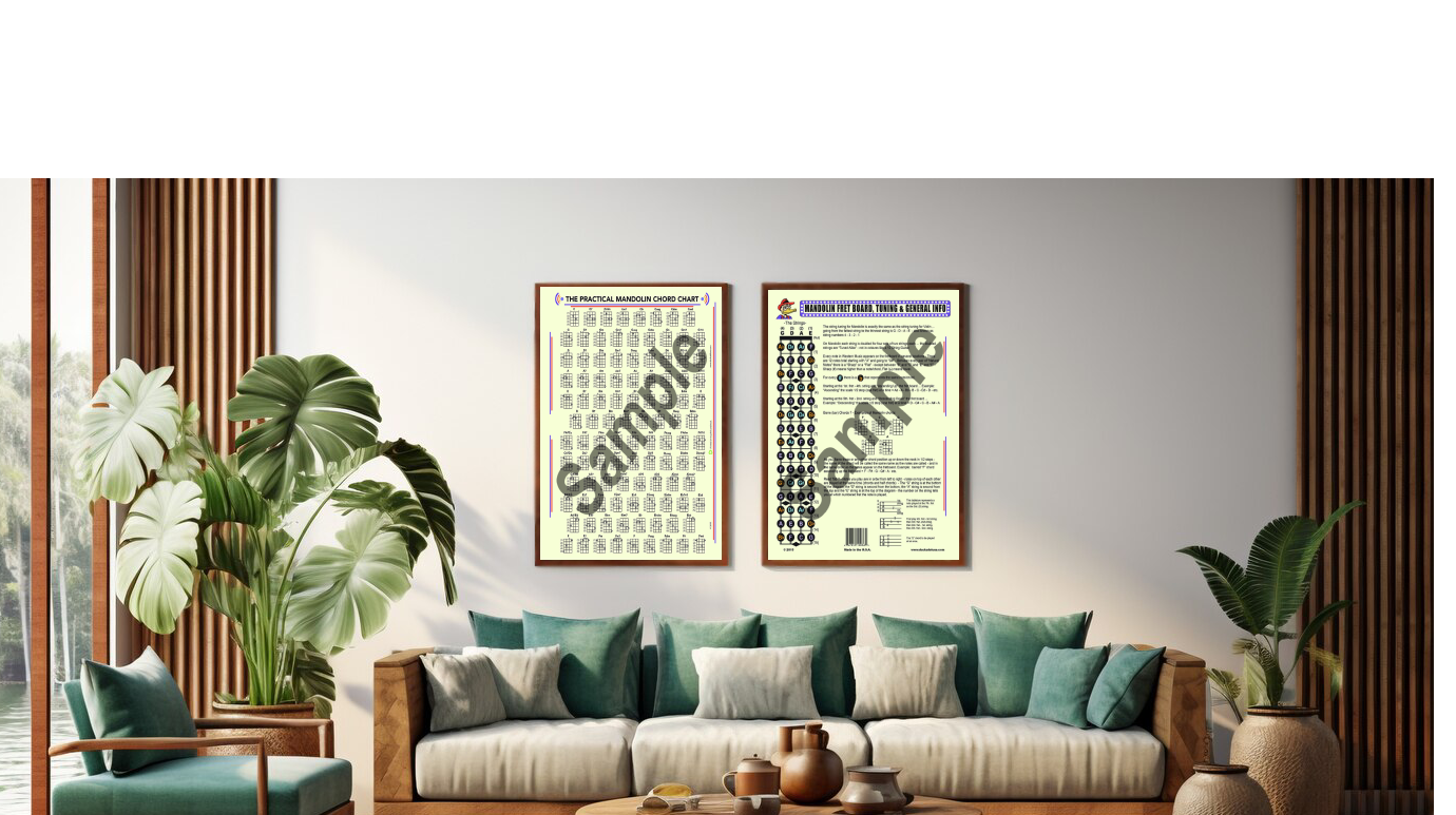 BOTH 17” x 11” Mandolin Posters at The Same Time!!! - Image 4